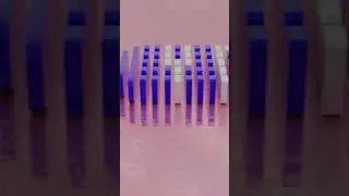 Colourful Domino run😍