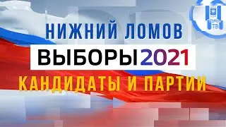 Выборы 2021, кандидаты и партии, Нижний Ломов