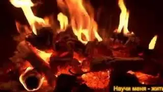 Научи меня жить .Владимир Д