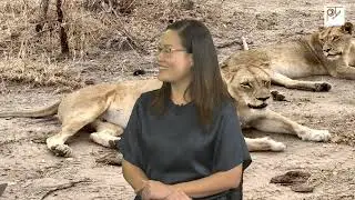 SOUTH AFRICA CÓ GÌ LẠ P2