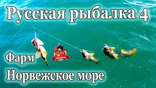Русская рыбалка 4 Норвежское море фарм 55 банка
