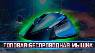 Razer Basilisk X Hyperspeed — крутая беспроводная мышка — самая дешёвая не от Bloody 