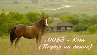 ЛЮБЭ - Конь (Подбор на баяне)