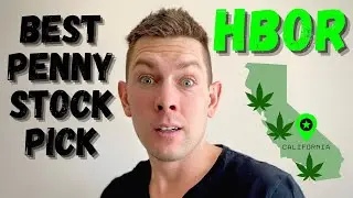 Best Stock Under $2 | Penny Stock to Watch | Top Penny Stocks 2021 | Harborside Stock | HBOR Stock