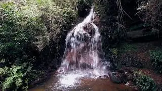 cascada sendero secoyas