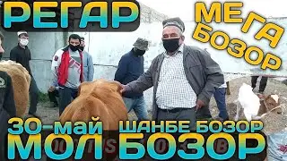 Мол бозор Регар / Шанбе бозор 30 Май Нархои Букахои калони майда Гову гусаладор ва Гуножинхои калони