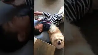 Takashi’s Protective dog tetchan