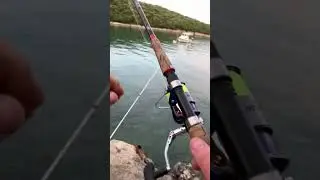 Рыбалка в Хорватии. Fishing in Croatia.