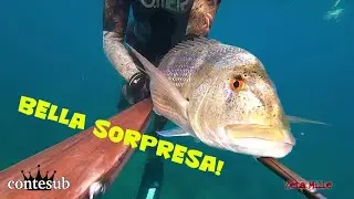 Saragoni e Sorprese! - Pesca in Apnea nel bassofondo - Salento