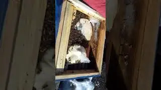 Февральский осмотр семей. 17.02.2019