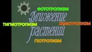 Движение растений
