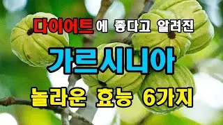 가르시니아 효능 6가지 알고 드세요~!!