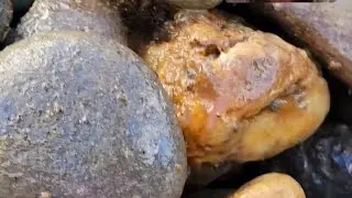 Rockhounding a Ginormous Agate #shorts