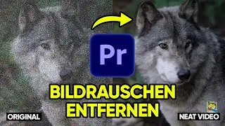 REMOVE NOISE with NEAT Video Plugin