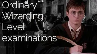 Harry Potter trio | O.W.L. Exams