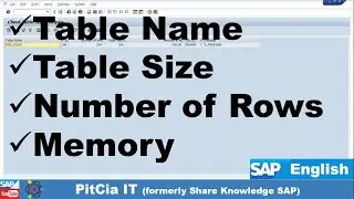 How to get Table Details in SAP ECC, S4HANA, Table Size - Row, Column, Table Type| PitCia IT
