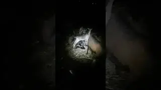 ајдее ама спиееее 😃😴😴 
