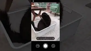 #ad