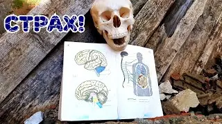 Жуткие развалины (заброшка).