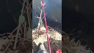 рыбалка