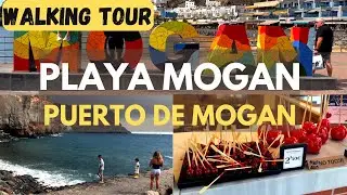 PUERTO DE MOGAN & PLAYA MOGAN - FULL WALKING TOUR (HD)