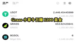 Grass小草电脑挂机零撸白嫖1200美金，分享3个还可以挂机的捡钱项目 #挂机赚钱 #挂机项目 #副业赚钱 #空投教程 #赚钱项目