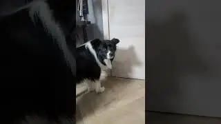Una cosa importante. E gratuita.