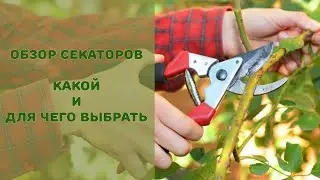 Обзор секаторов. Как выбрать то что надо.