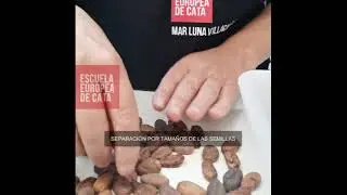 Mar Luna elaborando chocolate