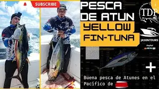 PESCA DE ATUN//yellowfin-tuna fishing   #pesca  #atún #fishing #yellowfintuna