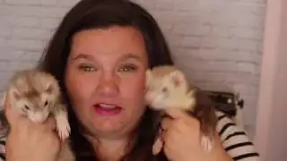 Where Have I Been?? Plans For This Channel and NEW Shop!