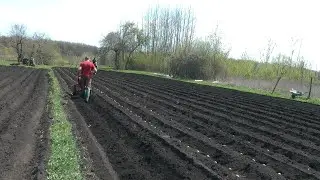 Planting potatoes and a little bit of everything in 2020