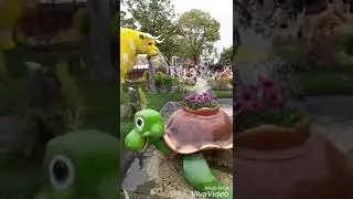 Фестиваль цветов в Гояне.часть1