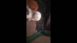 Живой блог в прямом эфире!