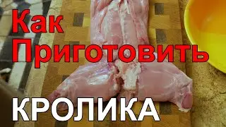 Как Приготовить Кролика Вкусно или Как Вкусно Приготовить Кролика (Как Приготовить Кролика Вкусно)