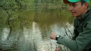 ЛОВЛЯ КАРПА НА ПАЛКИ ПОСТАВУШКИ