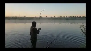 carp run compilation fox ntxr fox rx en jrc Ds3
