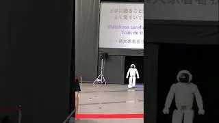 Asimo the humanoid robot 