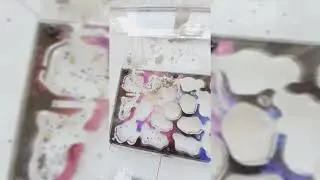У Алекса новый формикарий 🙂 от фирмы UAnts