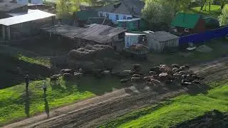 Село Большеникольское