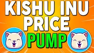 KISHU INU CEO HUGE UPDATE ! BIG PRICE SPIKE ! KISHU INU PRICE PREDICTION 2021