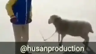 Прикол узбек