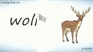 "Дикие Животные" (часть 1)