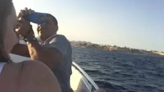 Slow motion yacht 1
