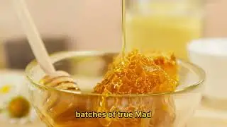 Rhododendron Forests: The Real “Ingredient” Behind Mad Honey 