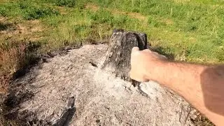 Incredible Cattle De-worming Method You Won't Believe!