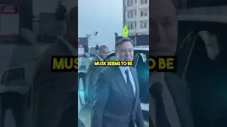 Elon's New Company!