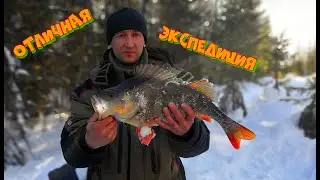 Огромные окуни, на это стоит посмотреть. Карельская зимняя рыбалка. Зимняя рыбалка в Карелии