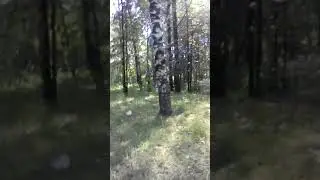 Парк