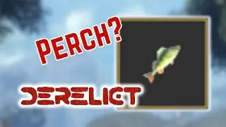 Fishing Spot - Perch in 2024? | Roblox Derelict